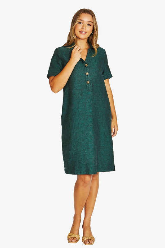 Open Collar Dress