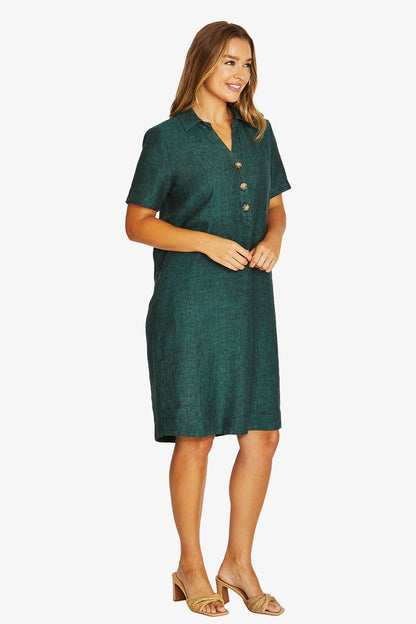 Open Collar Dress