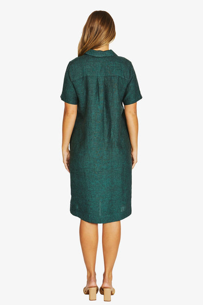 Open Collar Dress